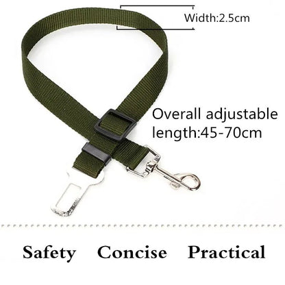 Dog Seat Belt