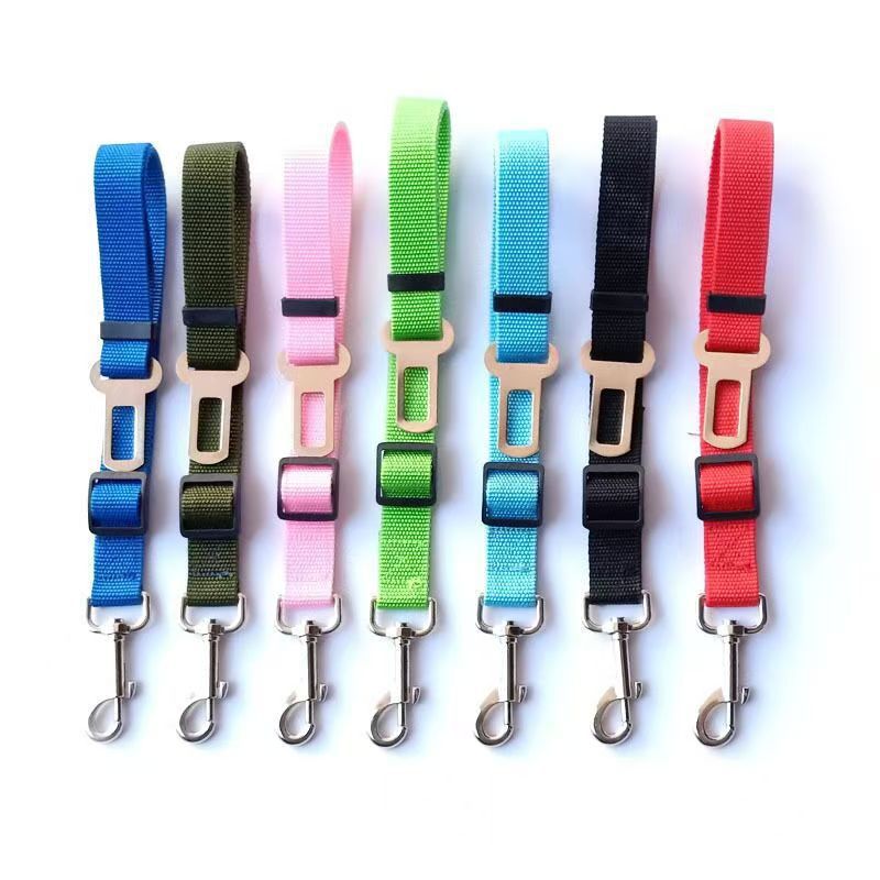 Dog Seat Belt