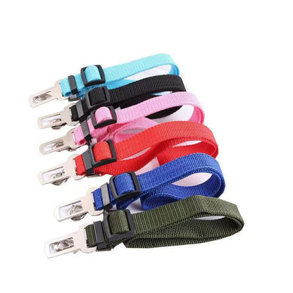 Dog Seat Belt
