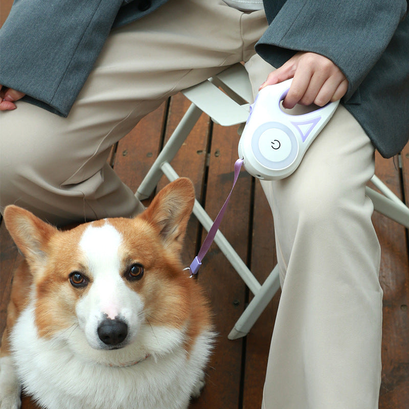 "Dog Leash 2.0"