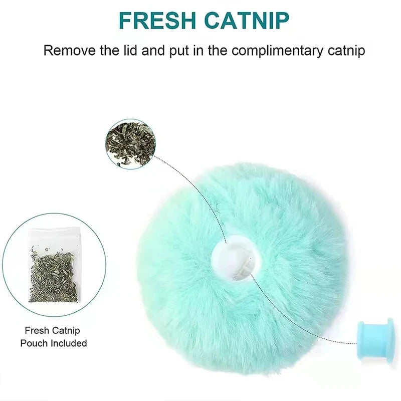 "Purrfect Play! Smart Catnip Squeaky Ball – Fun Interactive Toy for Kittens and Cats"