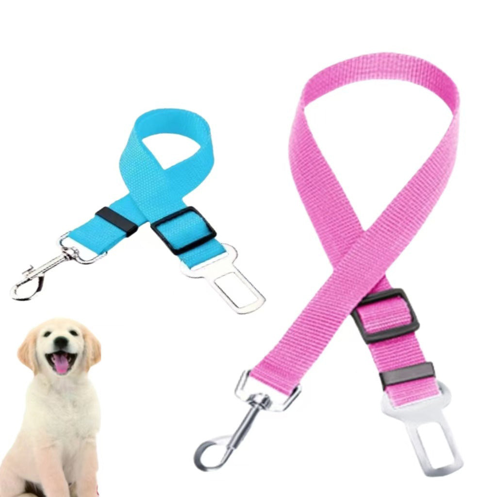 Dog Seat Belt